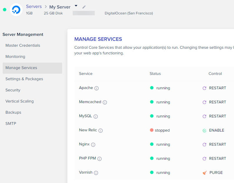 Cloudways gère les options de services.