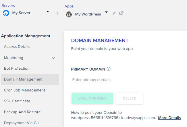 Onglet de gestion de domaine Cloudways.