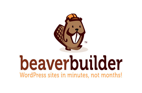 beaver builder vs elementor vs divi builder