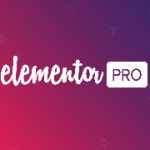 elementor pro discount