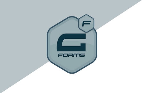 formes de gravité vs wpforms