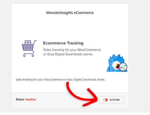 Dodatek MonsterInsights e-commerce