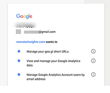 monsterinsights accès à google analytics