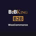 B2BKing كوبون الخصم.