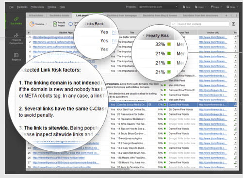 SEO SpyGlass Penalty-Audit.