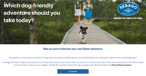 Exemplo de marketing de concurso - Dog Adventure