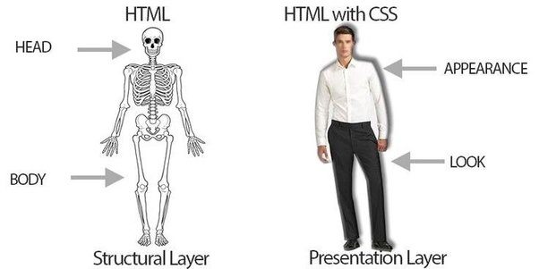 级联样式表 (CSS)