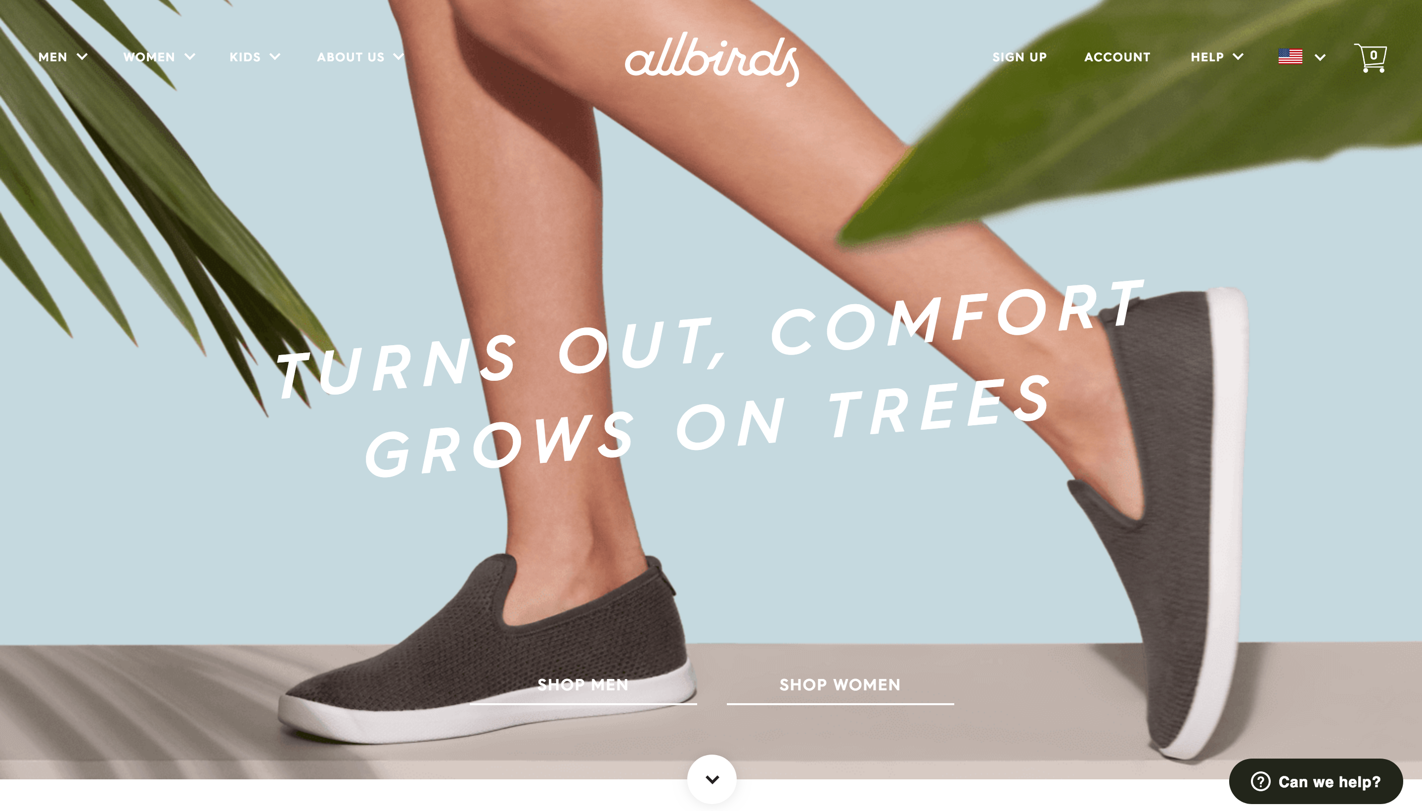 Allbirds Startup Website Design