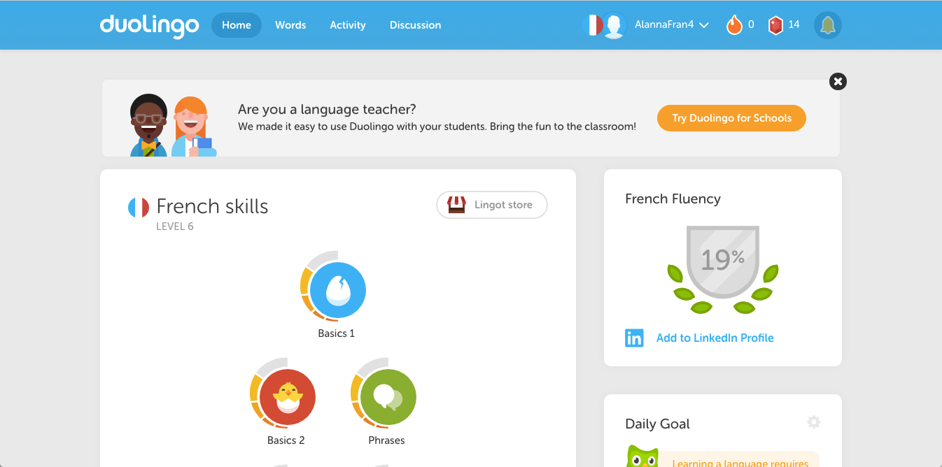 Duolingo Custom Illustration Web Design