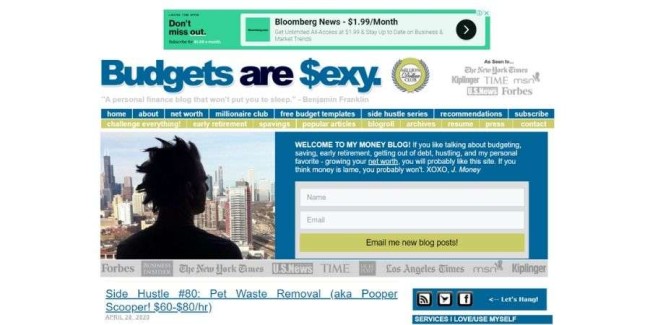 bad website design: Budgets Are Sexy