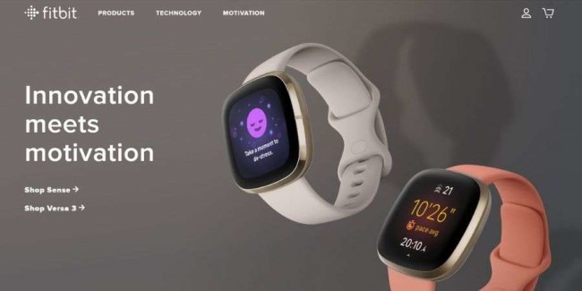 bets tech websites: Fitbit