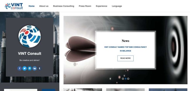 Vint Consult website