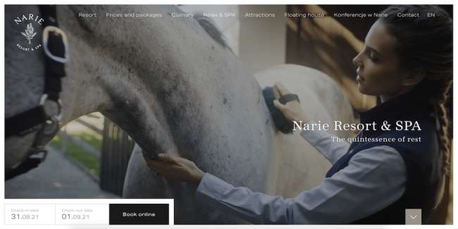 Narie Resort & Spa Travel Website Design