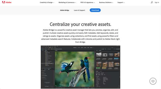 photo management software: screenshot of Adobe Bridge homepage