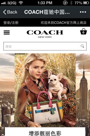 차이나 이노베이션_Coach_WeChat_300