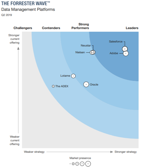 laporan gelombang forrester 2019 untuk vendor DMP