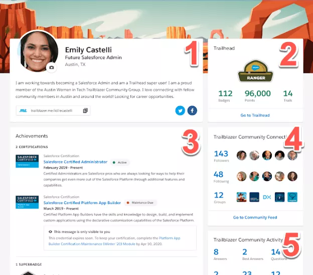 perfil de salesforce trailbazer