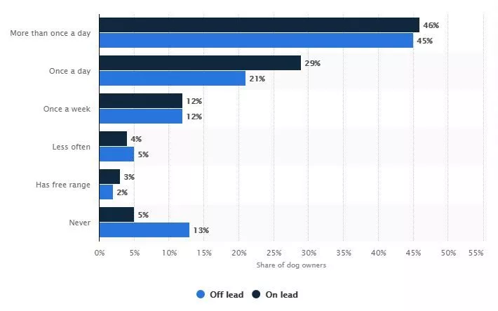 Häufigkeit von Hundespaziergängen