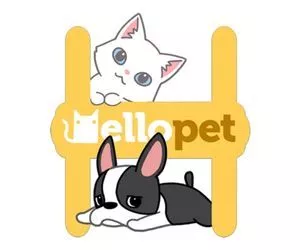 Hellopet - القطط والكلاب اللطيفة والحيوانات الأليفة الفريدة الأخرى