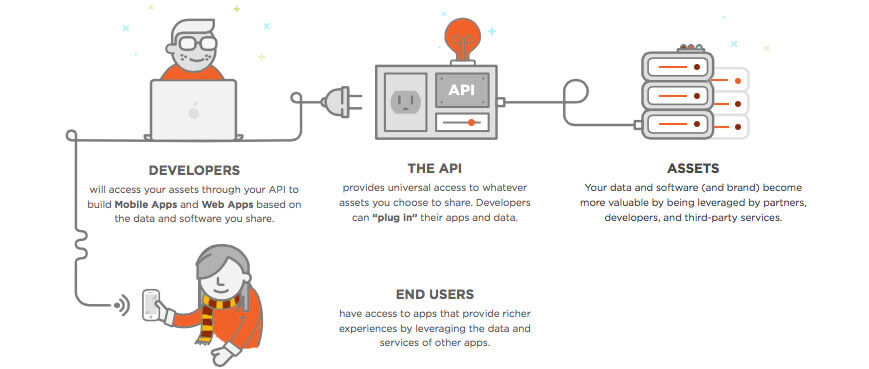 Applications and web backend development processes