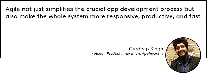 Kutipan di Agile Development