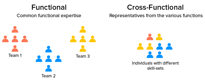  Cross-functional Team