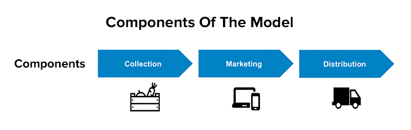 Components Of The Model