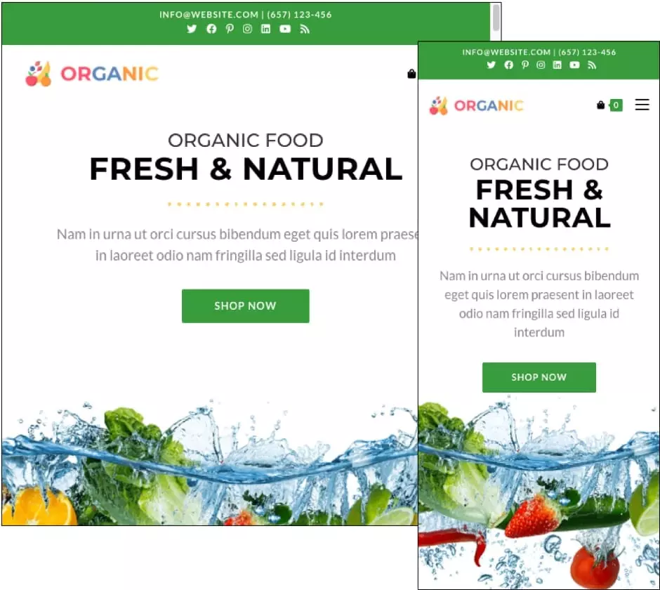 OceanWP Organic Theme