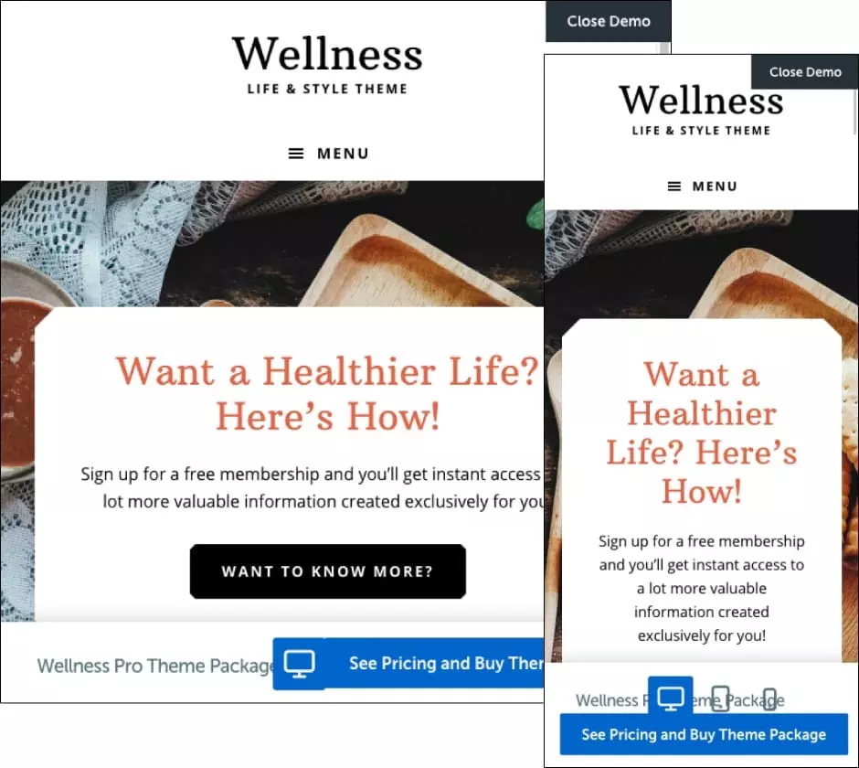 Wellness Pro Theme