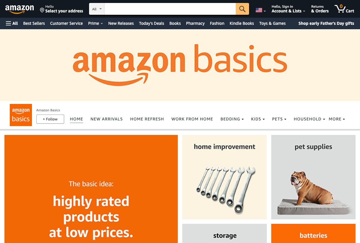 Amazon Basics