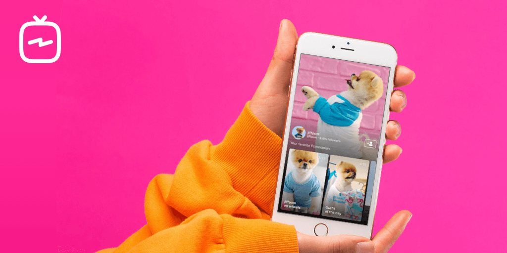 Guida IGTV definitiva: mani che tengono il cellulare che mostrano il cane su IGTV