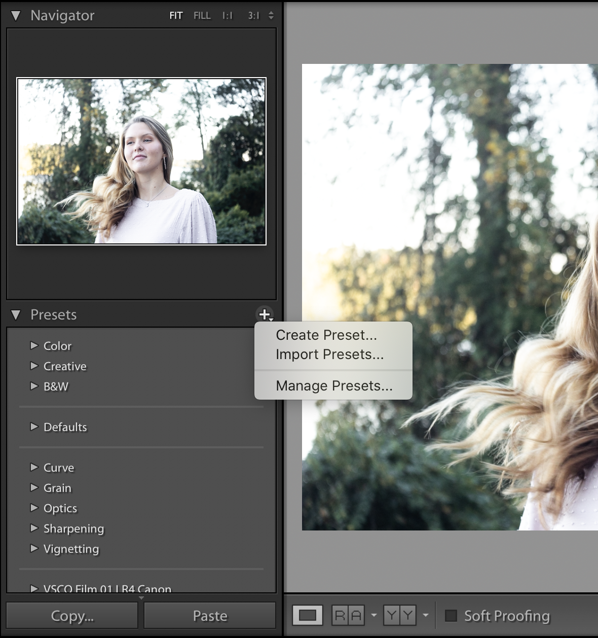 crea un preset leggero e arioso in lightroom