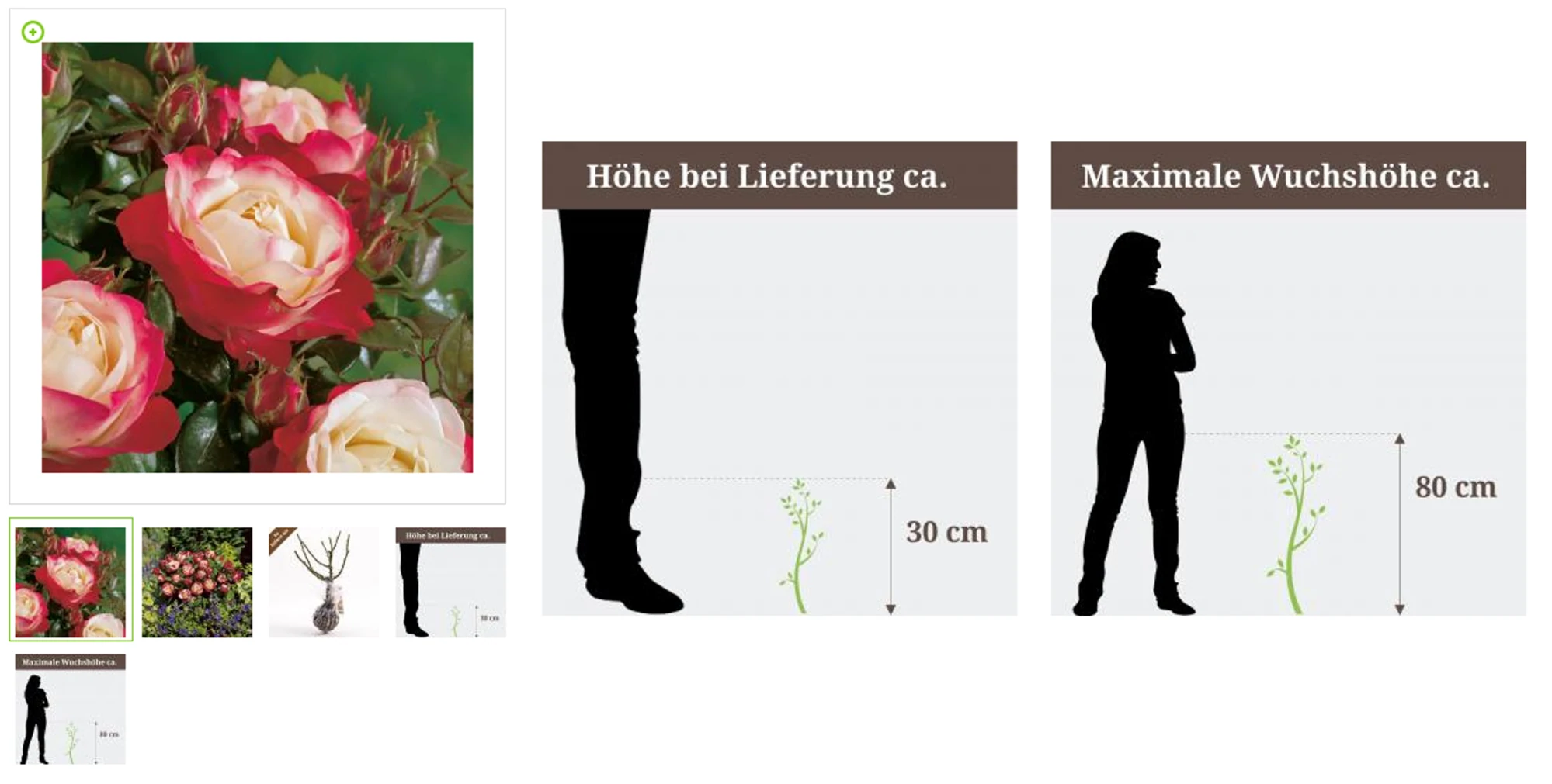 Poza produsului comparativ cu dimensiuni