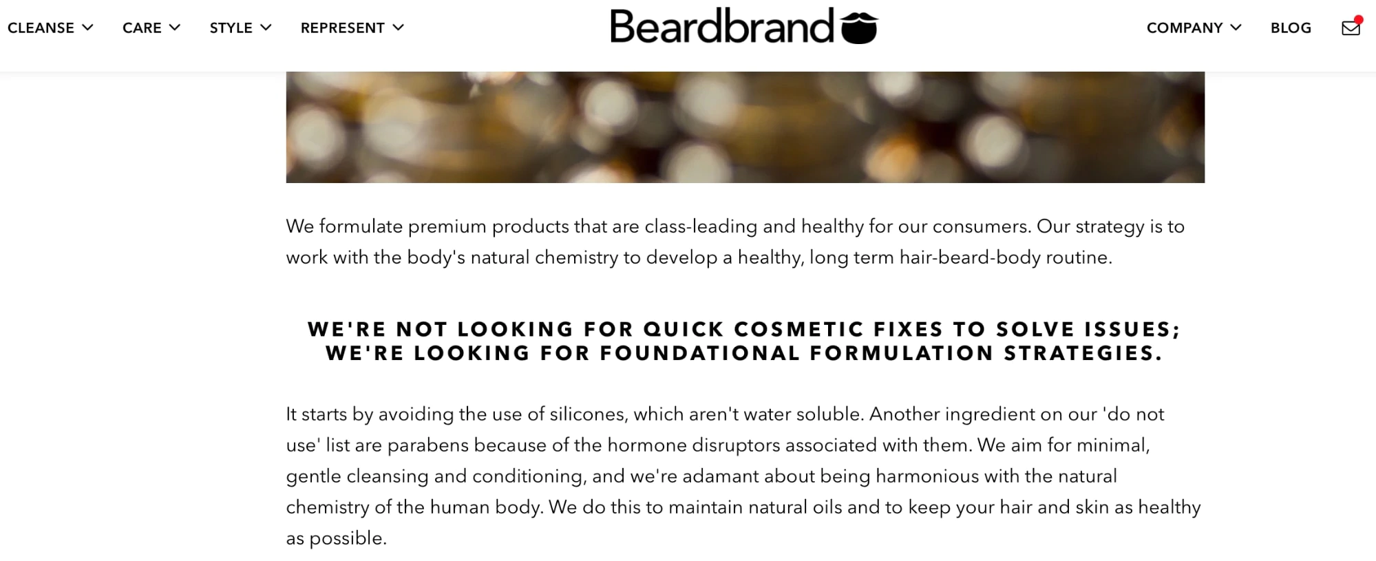 proposition de vente unique de beardbrand