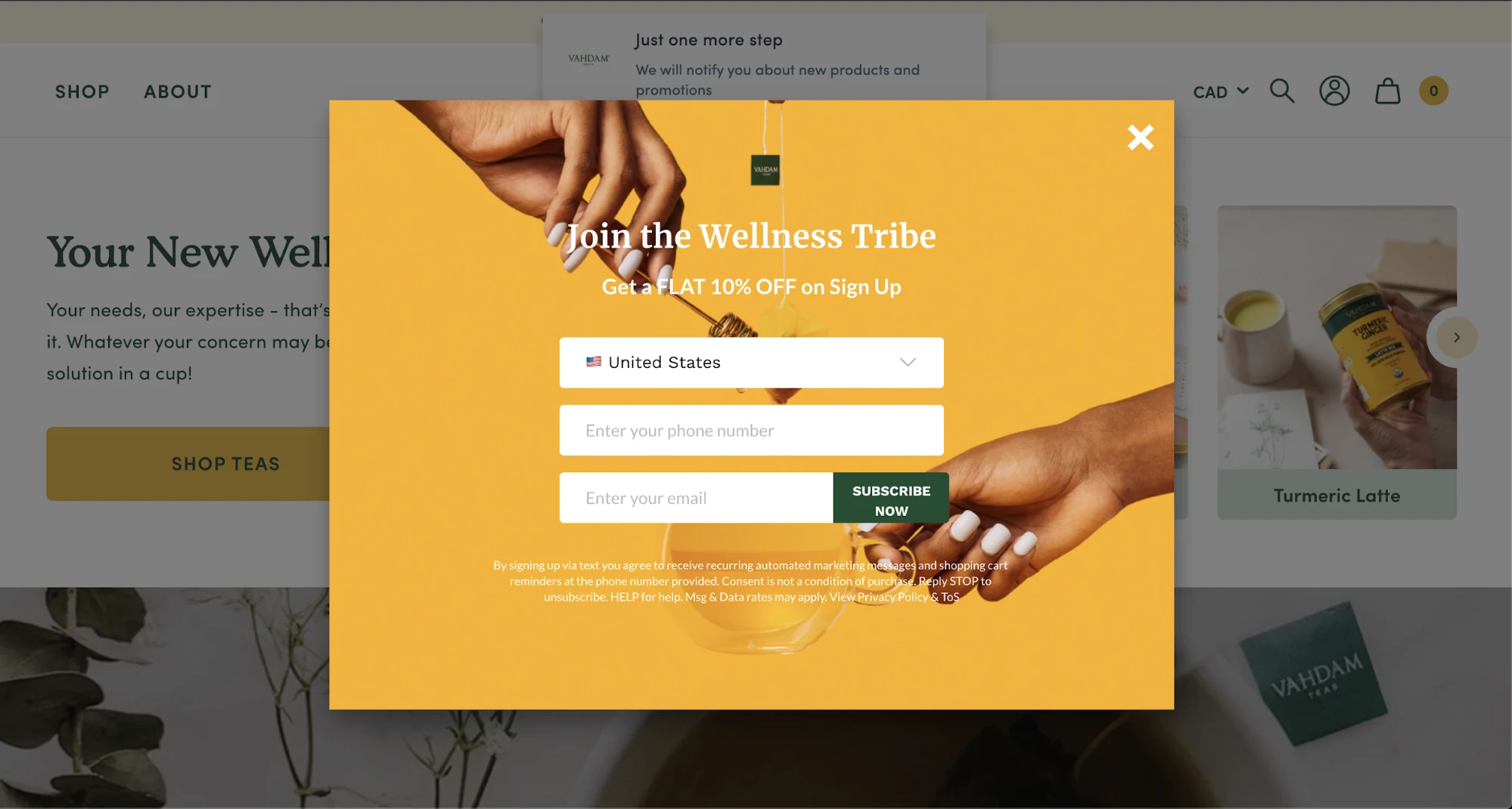 email opt-in pop-up dari vahdam teas