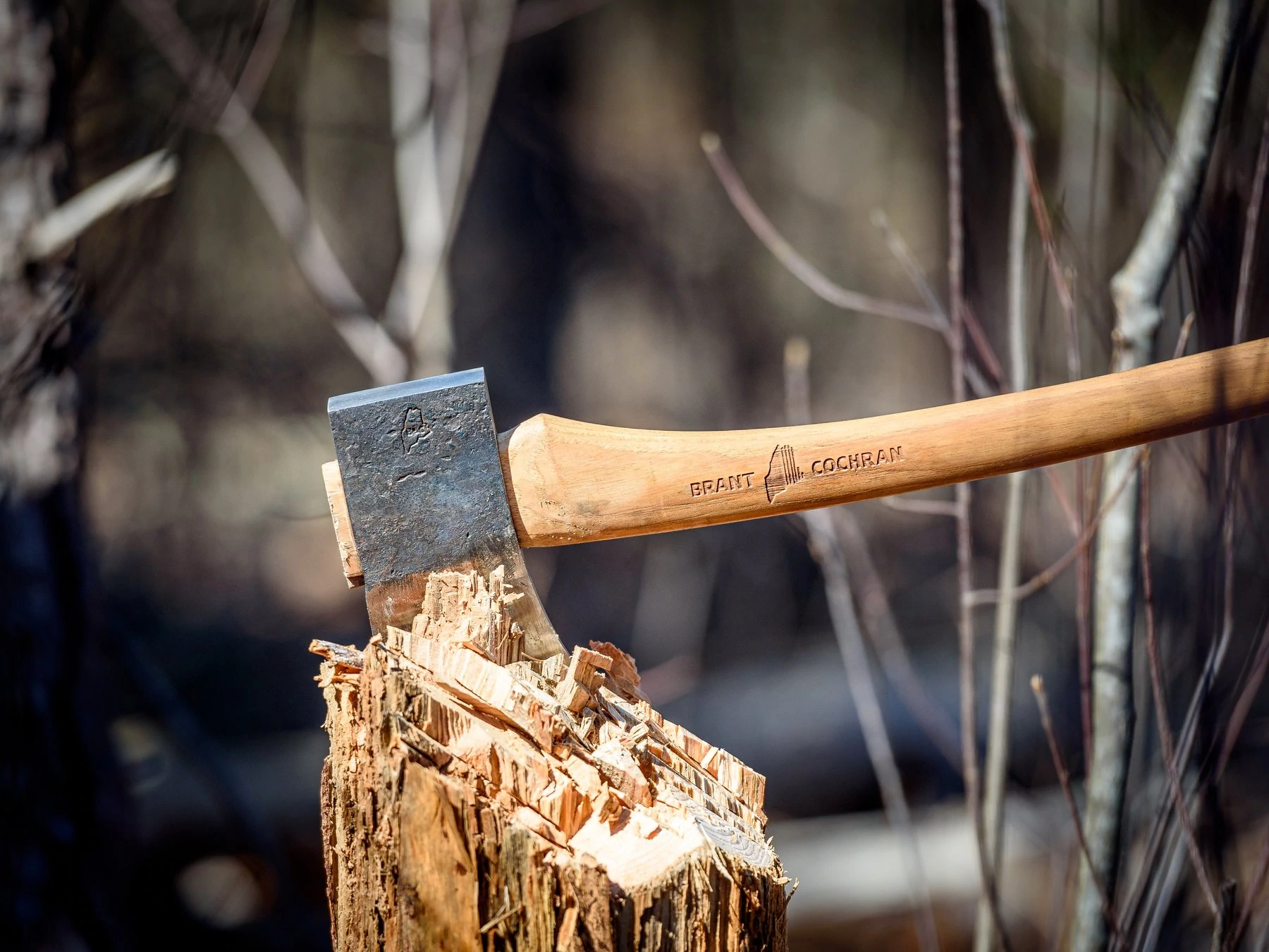 Une hache coincée dans une souche d'arbre