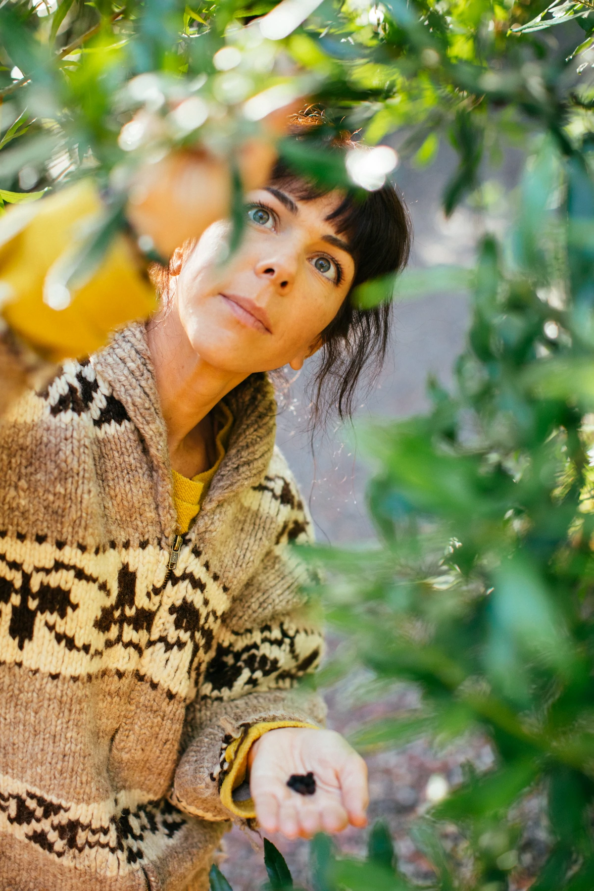 Angela L'Heureux in un maglione a fantasia marrone raccoglie a mano gli ingredienti da un albero per i suoi prodotti per la cura del corpo.