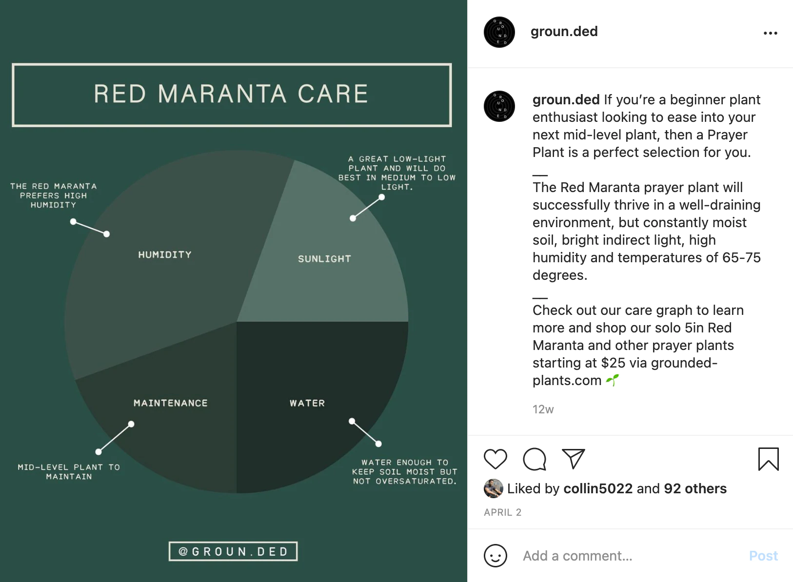 สกรีนช็อตของโพสต์ Instagram ที่มีการลงกราวด์ที่สรุปการดูแลพืช