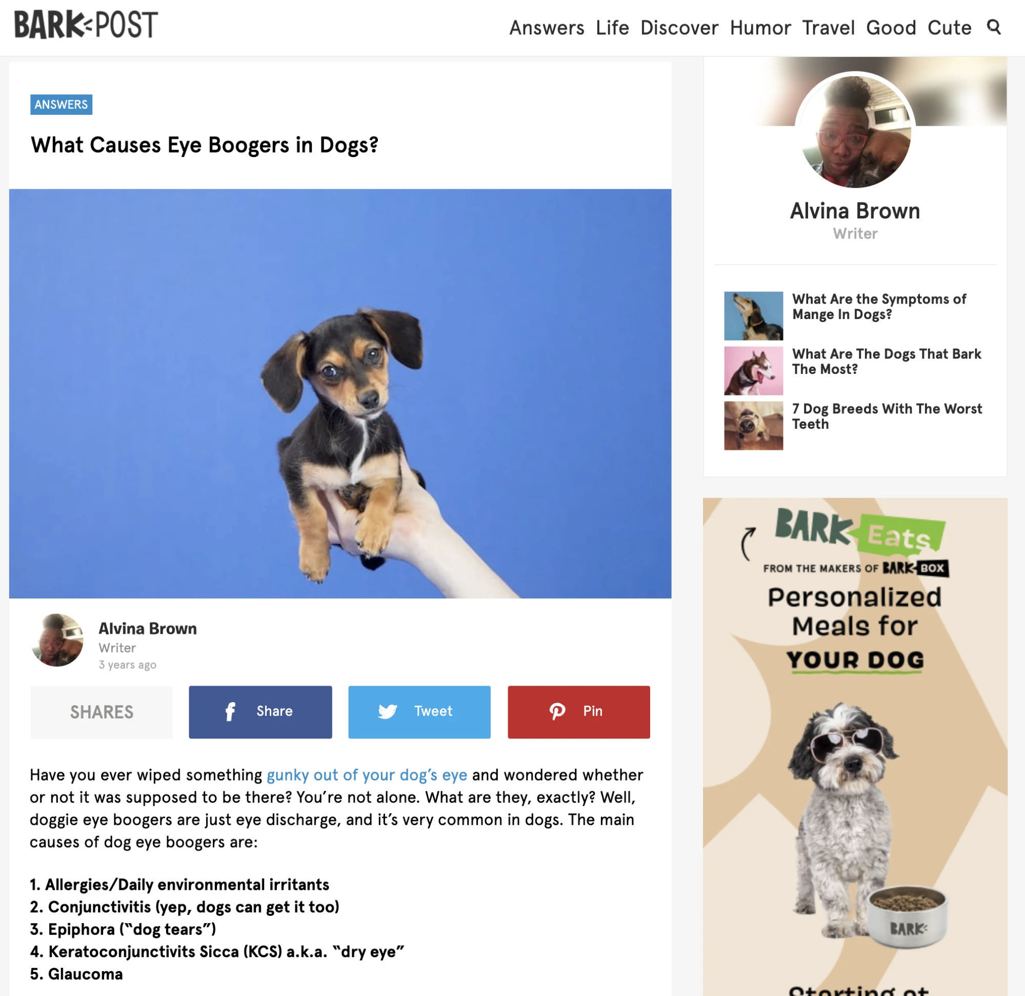 Blog de BarkPost