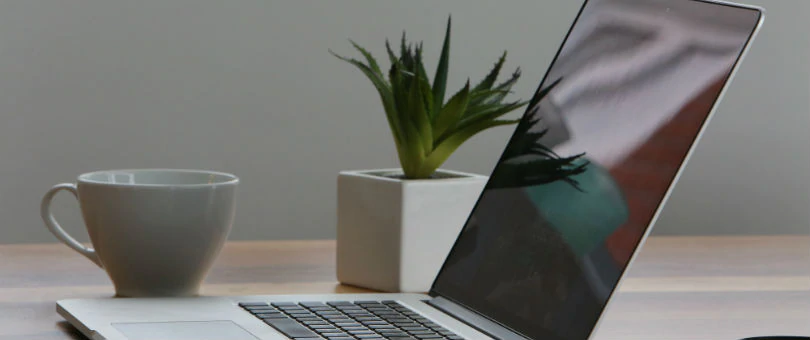 laptop houseplant coffee