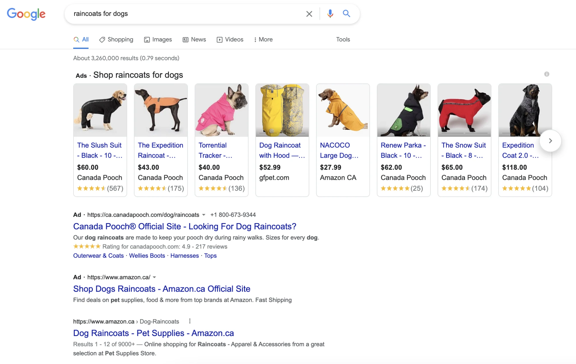 serp avec des publicités pour les imperméables pour chiens