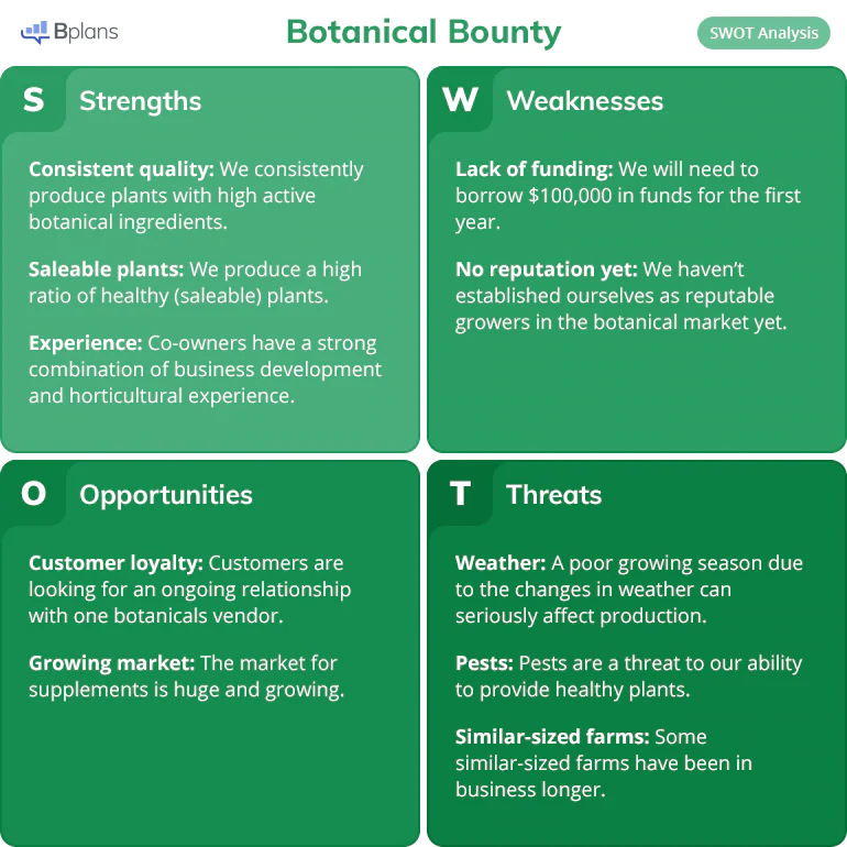 植物美容 swot 分析