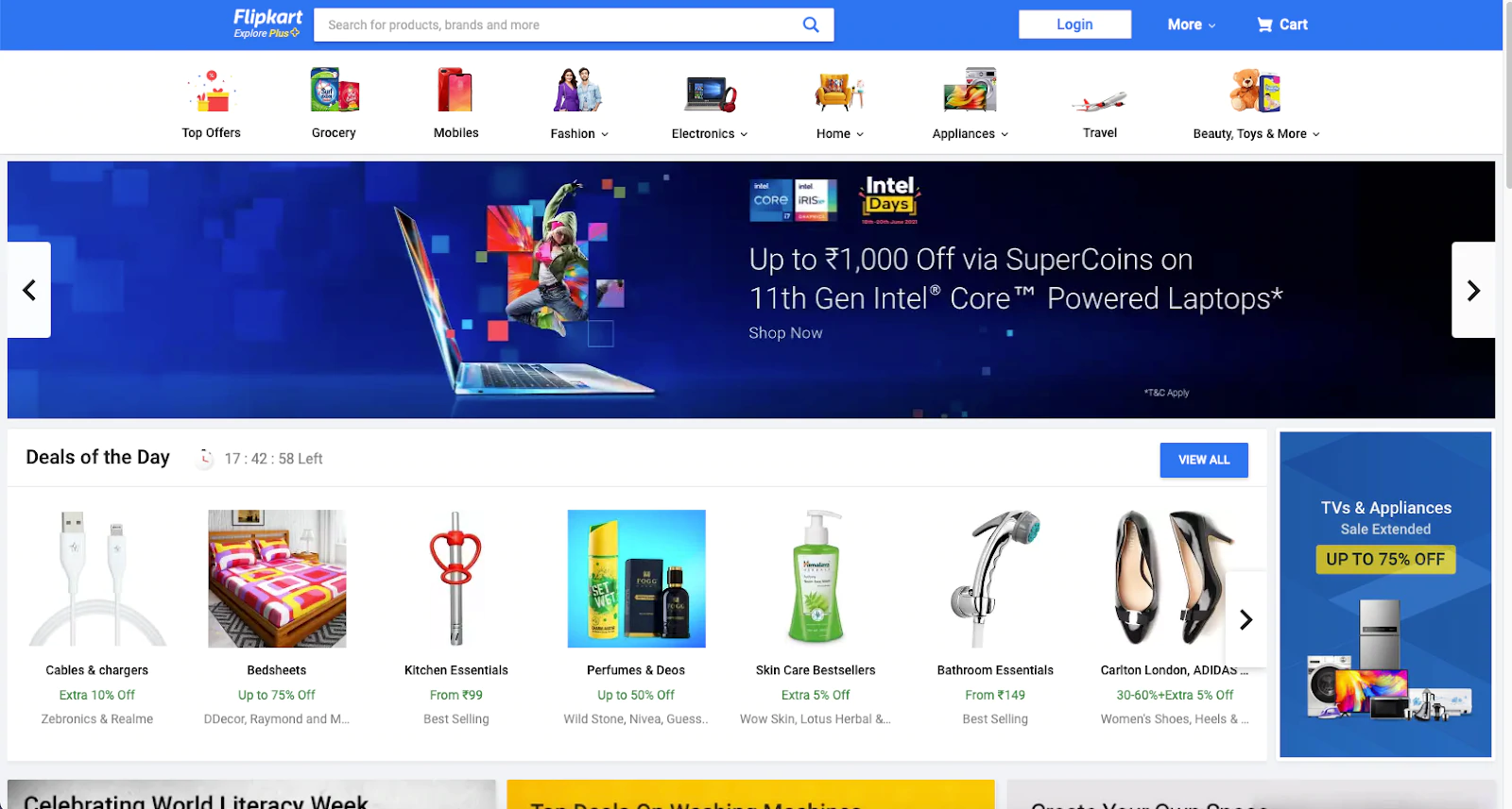 Flipkart