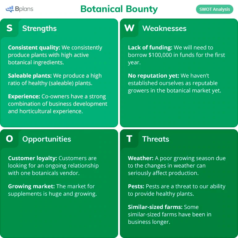 Un ejemplo de plan de marketing de Botanical Beauty