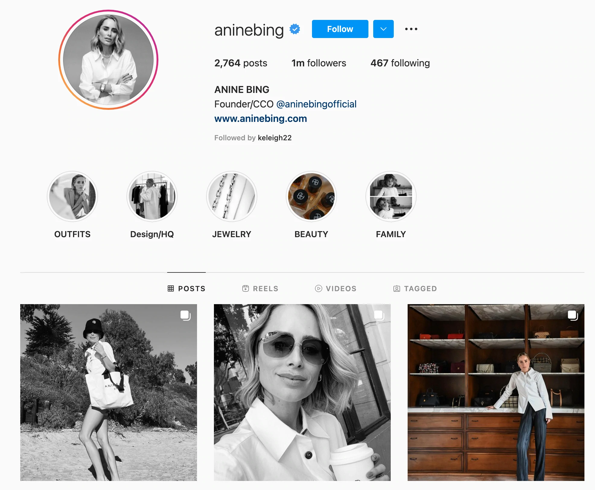 Profil instagram Anine Bing