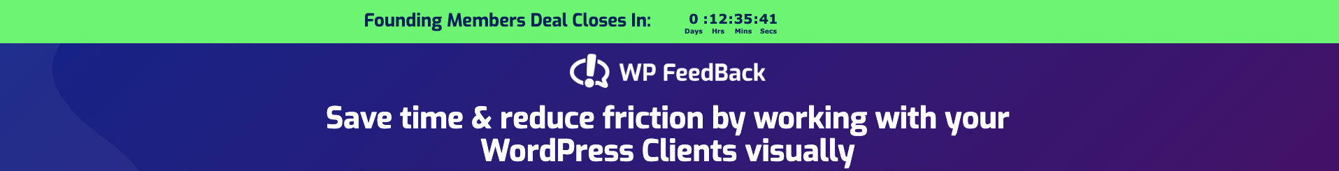 WP FeedBack timer example