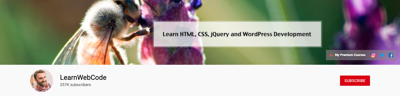قناة LearnWebCode على YouTube