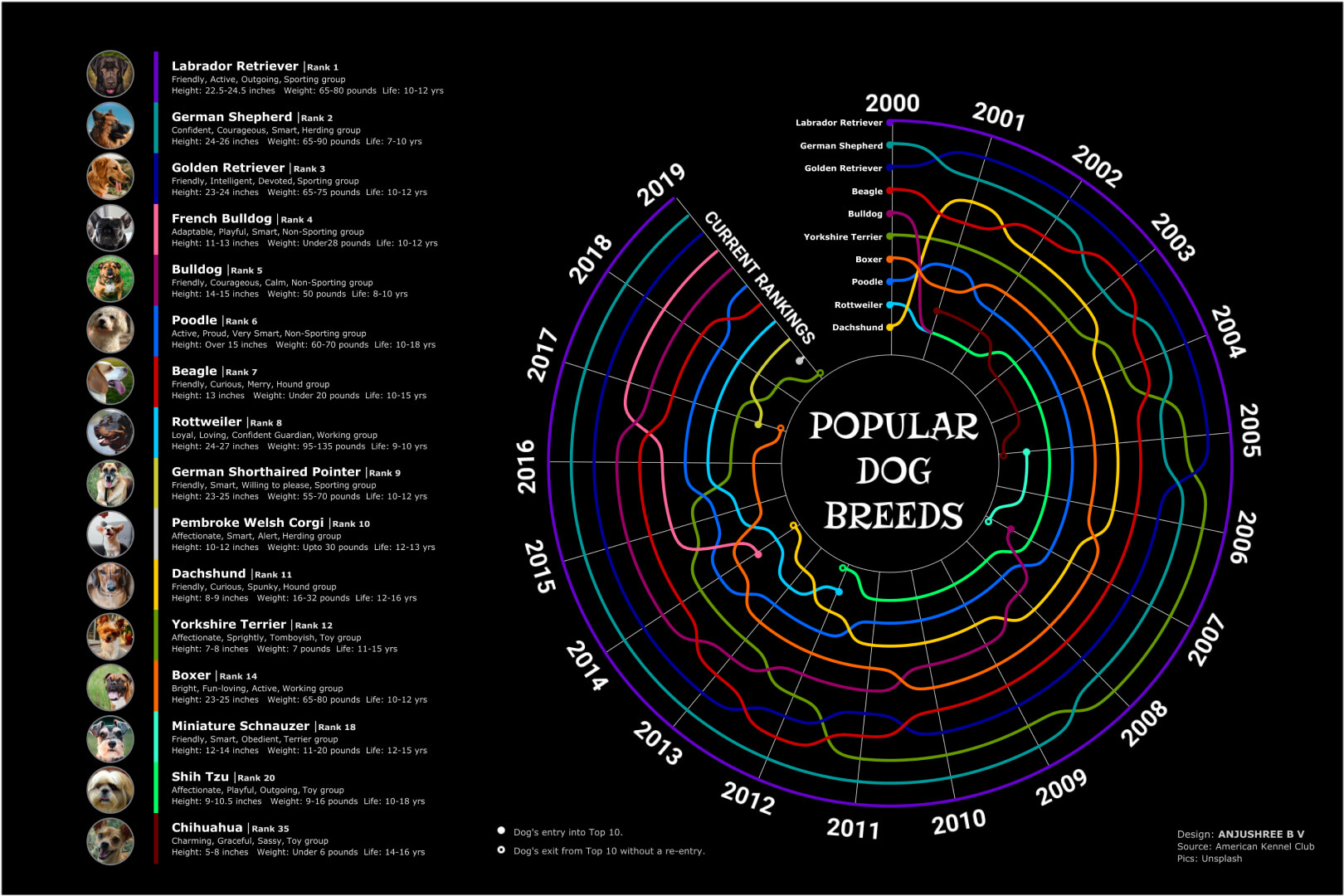 Visualizzazione dei dati