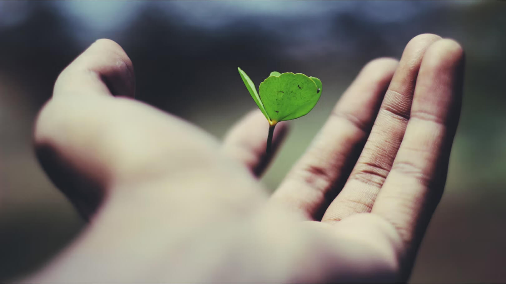 الذهاب إلى الطراز القديم وإعادة الاستخدام أكثر