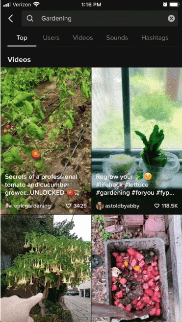 Video TikTok yang muncul saat Anda mencari "Berkebun"